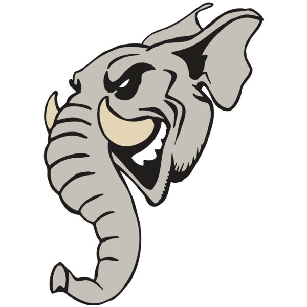 AR5 Elephant 11 RQC Thumbnail