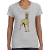 Deco Ladies Perfect V-Neck T-Shirt Thumbnail