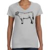 Deco Ladies Perfect V-Neck T-Shirt Thumbnail