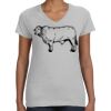 Deco Ladies Perfect V-Neck T-Shirt Thumbnail