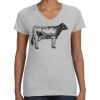Deco Ladies Perfect V-Neck T-Shirt Thumbnail
