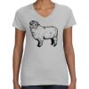 Deco Ladies Perfect V-Neck T-Shirt Thumbnail