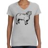 Deco Ladies Perfect V-Neck T-Shirt Thumbnail