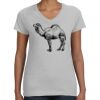 Deco Ladies Perfect V-Neck T-Shirt Thumbnail