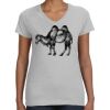 Deco Ladies Perfect V-Neck T-Shirt Thumbnail