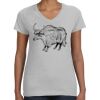 Deco Ladies Perfect V-Neck T-Shirt Thumbnail