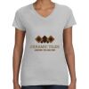 Deco Ladies Perfect V-Neck T-Shirt Thumbnail