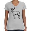 Deco Ladies Perfect V-Neck T-Shirt Thumbnail