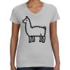 Deco Ladies Perfect V-Neck T-Shirt Thumbnail