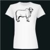  Deco Ladies Slim Fit Tee Thumbnail