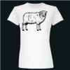  Deco Ladies Slim Fit Tee Thumbnail