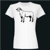  Deco Ladies Slim Fit Tee Thumbnail