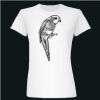  Deco Ladies Slim Fit Tee Thumbnail
