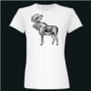  Deco Ladies Slim Fit Tee Thumbnail