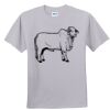 Deco Youth Ultimate Tee Thumbnail